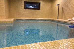 скиммерный бассейн скиммерный бассейн